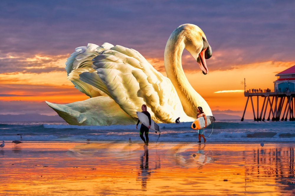 Swan Beach