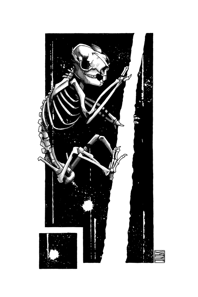 Koala Skeleton Study