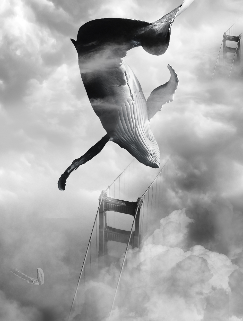 Whale Watching From Way Above the Golden Gate Bridge