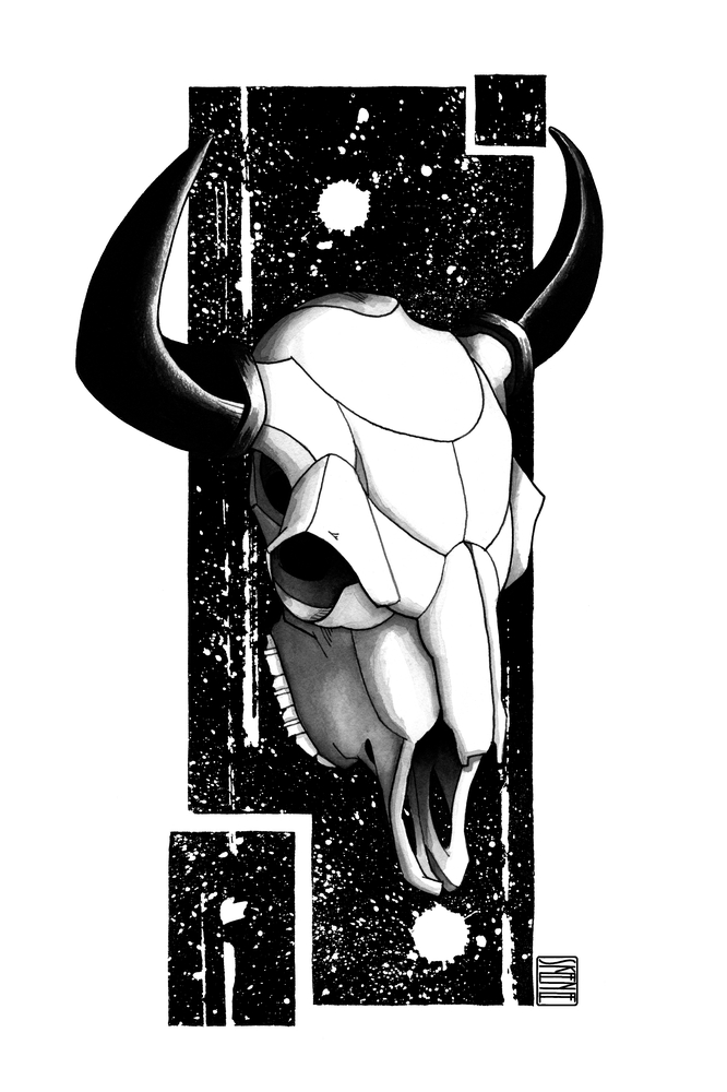 Buffalo Skull Study II